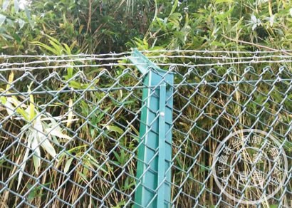 合肥勾花护栏网使用案例
