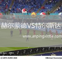 赫尔蒙德VS特尔斯达