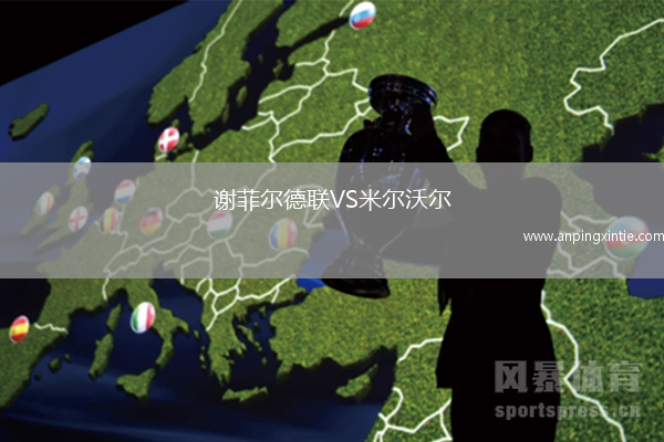 谢菲尔德联VS米尔沃尔
