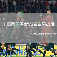 川崎雷霆勇者VS名古屋战鹰