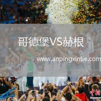 哥德堡VS赫根