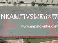 NKA佩奇VS锡斯达克