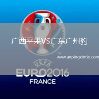 广西平果VS广东广州豹