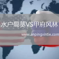 水户蜀葵VS甲府风林